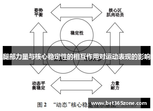 腿部力量与核心稳定性的相互作用对运动表现的影响