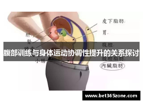 腹部训练与身体运动协调性提升的关系探讨